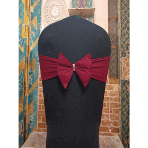 Butterfly Chair Bow – Sleek Stretch Band with Decorative Center