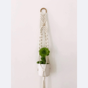 Minimalist Single Macramé Plant Holder
