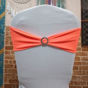 Chair Bow - 108